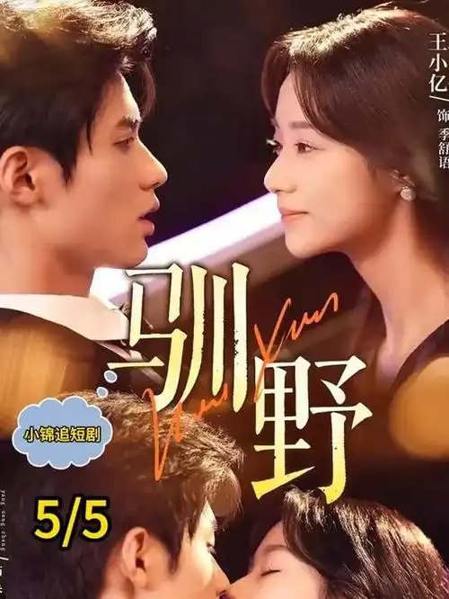 葬送的芙莉莲 在线观看免费高清视频大全追剧